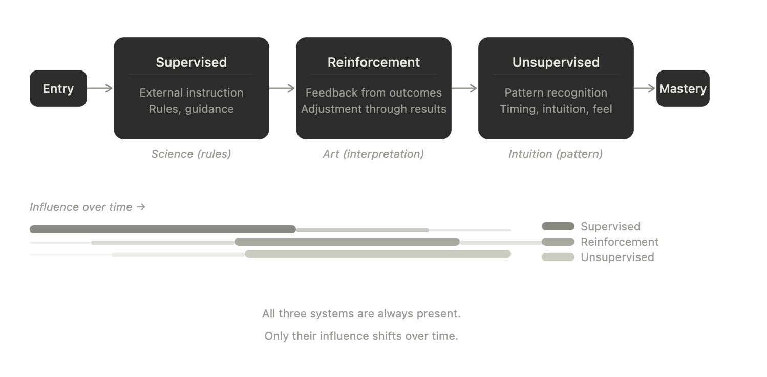 Learning phases diagram from entry to mastery through supervised, reinforcement, and unsupervised learning.